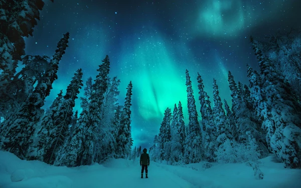 Persona de pie bajo la aurora boreal en un bosque nevado.