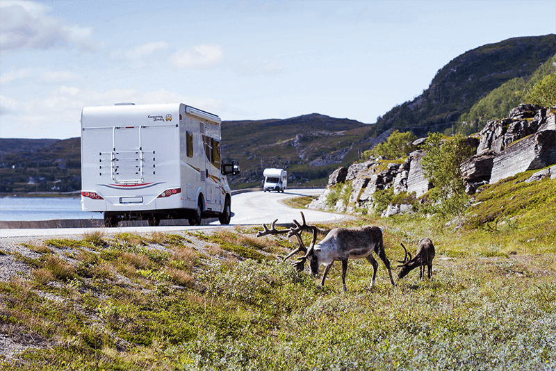 Discover Sweden’s Hidden Gems with a Campervan