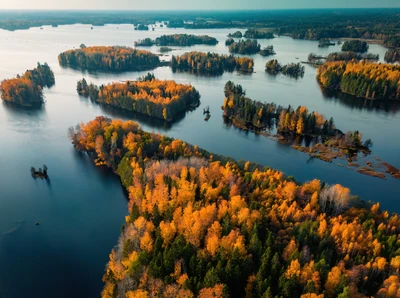 Vista aérea de un lago salpicado de islas cubiertas de bosque otoñal