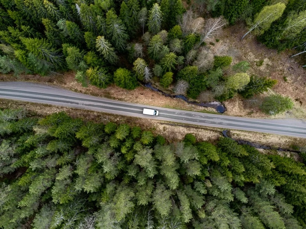 Vista aérea de una carretera que cruza un bosque espeso de coníferas, con un vehículo circulando