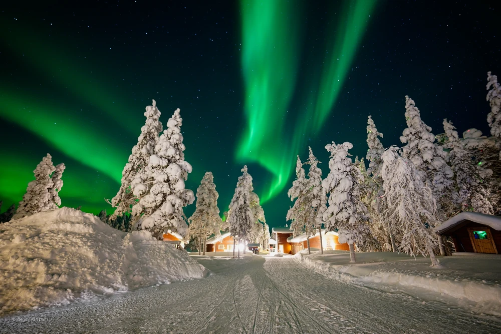 Auroras boreales sobre árboles nevados y cabañas por la noche