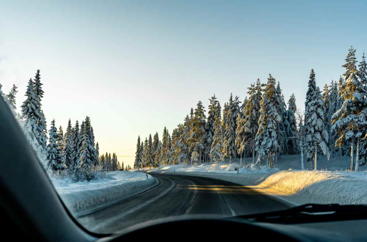 Utsikt från bilen på snöig landsväg genom granar i mjukt morgonljus – vinterkörning i Sverige med dubbdäck, korta etapper och säkerhet i fokus.