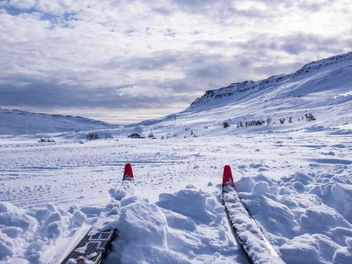 Skilanglauf