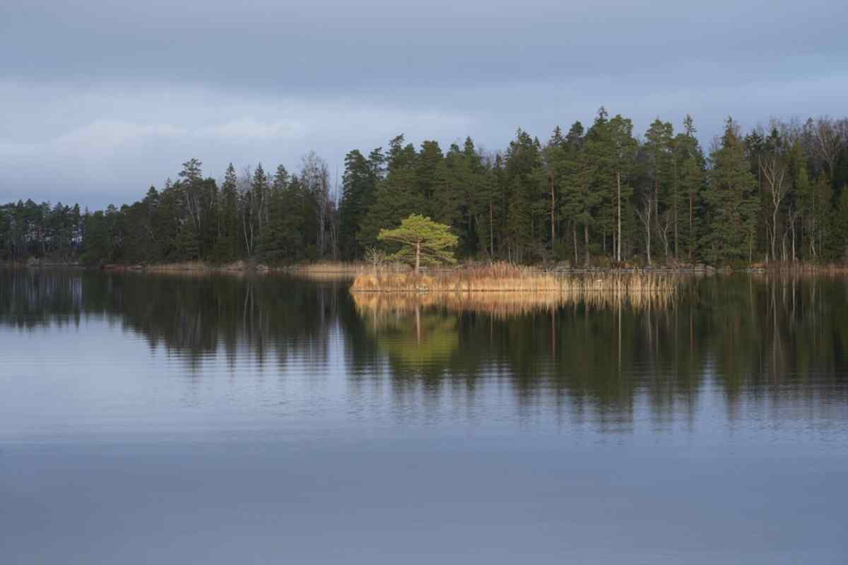 Helgasjön