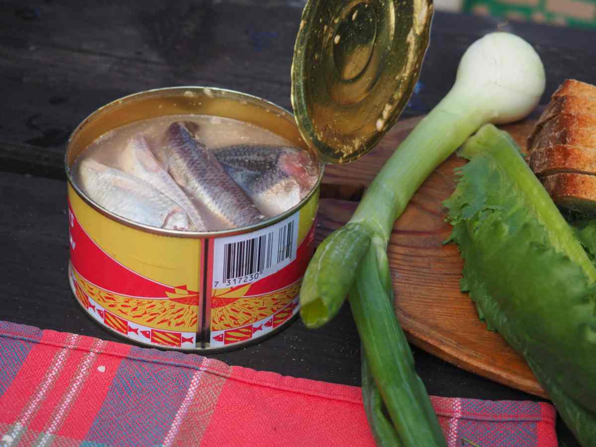 swedish food surstromming