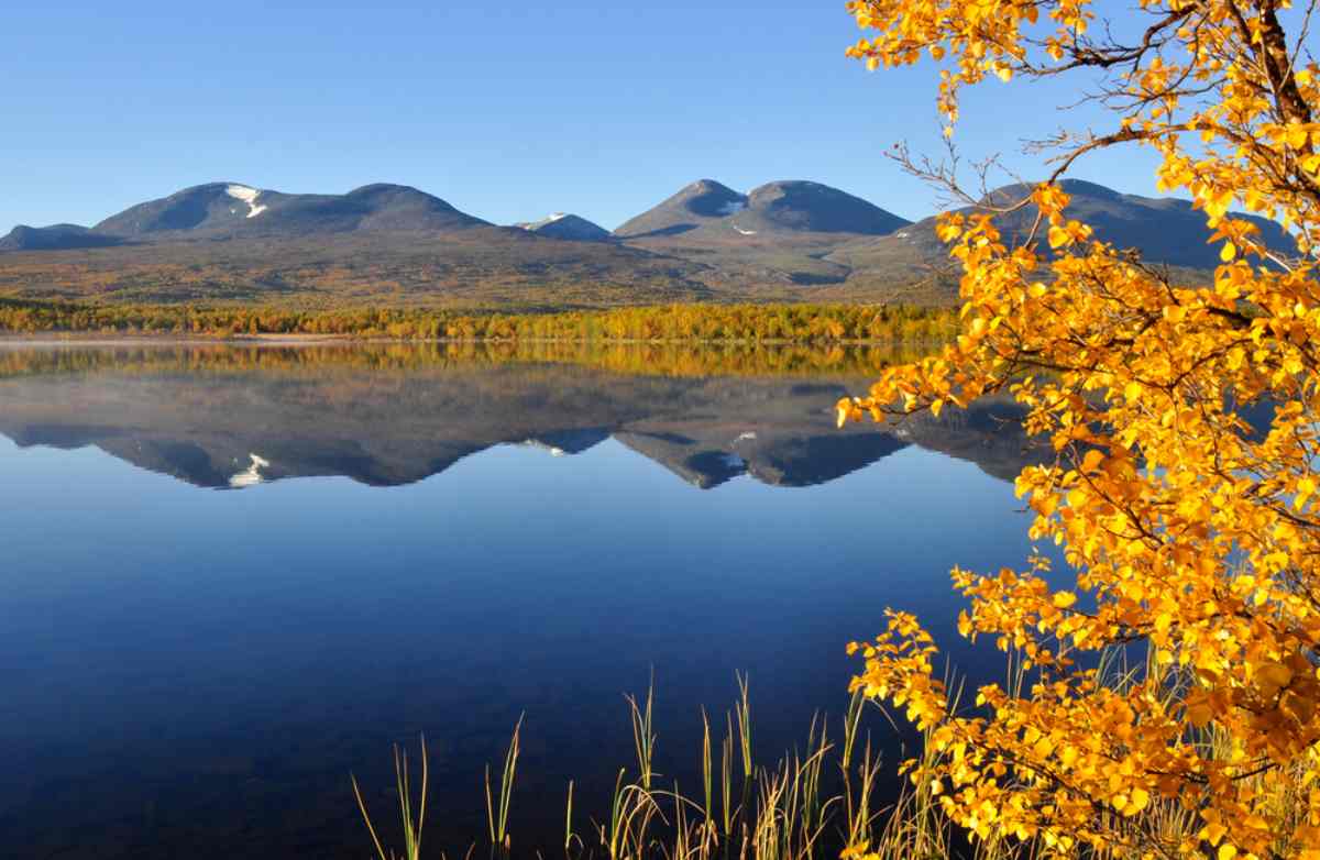 Abisko nationalpark