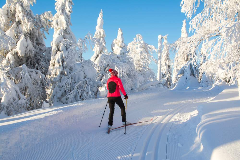 Ski in Sweden