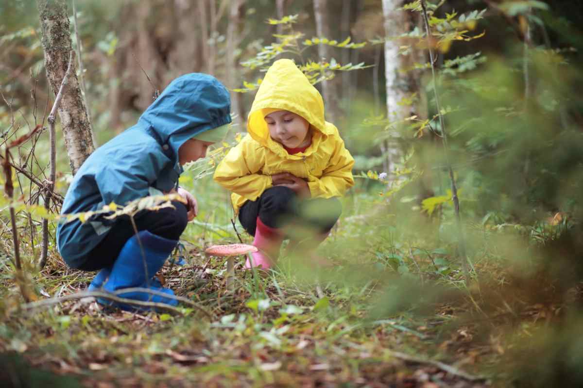 Barn i blå och gula regnrockar som betraktar en stor svamp i skogen i Sverige.