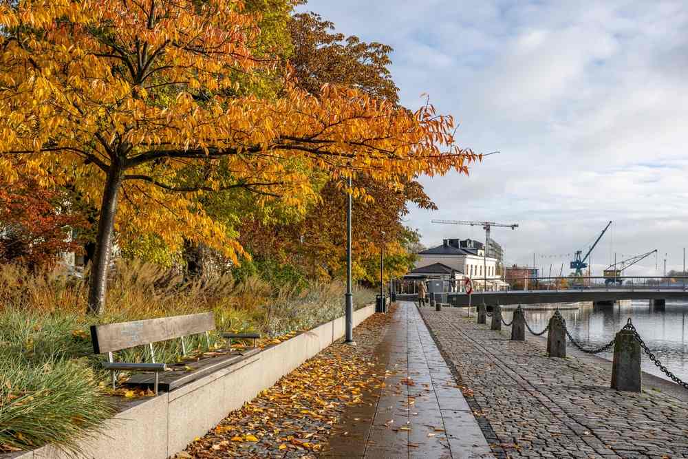 Sverige i november
