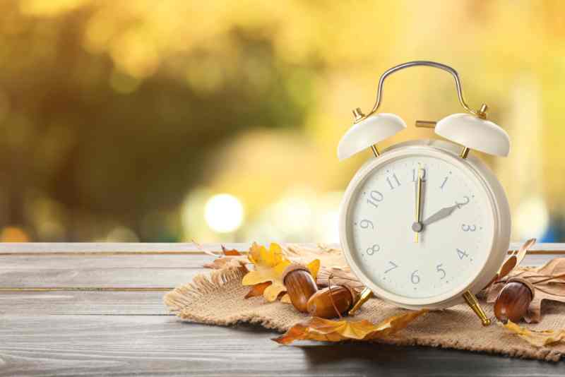 Daylight Hours of Sweden