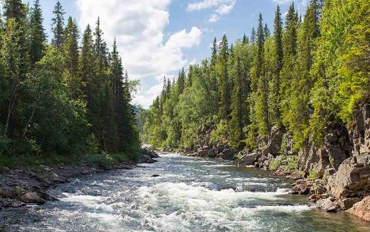 Nationalparks in Schweden