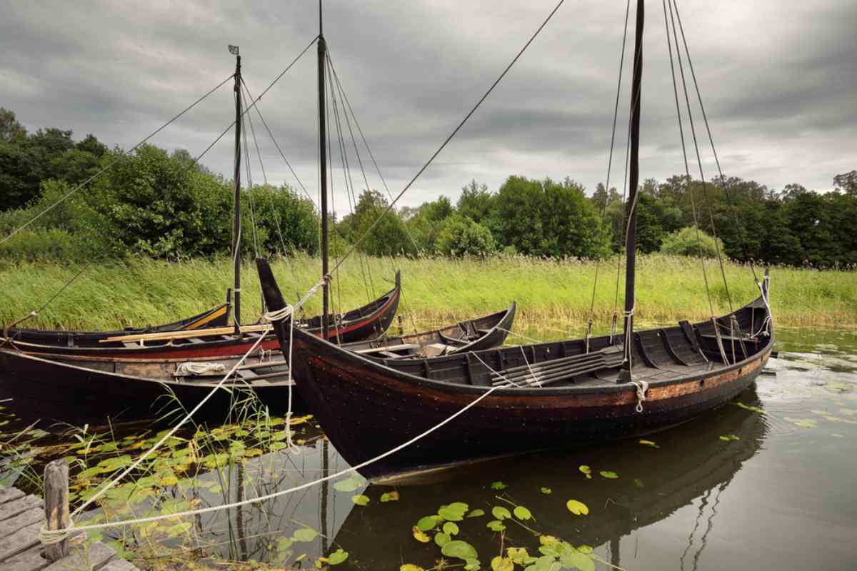 Detailed view of black wooden boats moored to a small jetty in a wild setting.