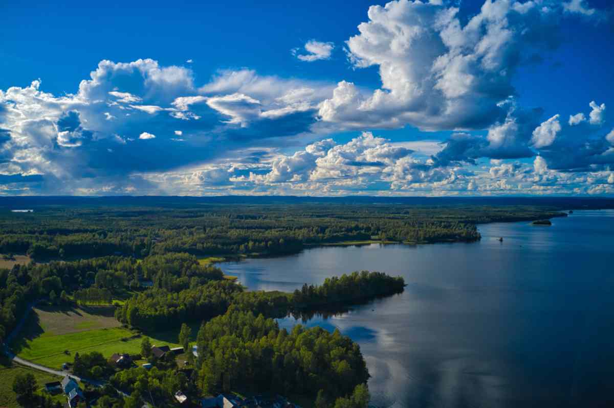 Drohnenaufnahme einer wunderschönen schwedischen Landschaft voller hoher Bäume und spektakulärem blauen Himmel.
