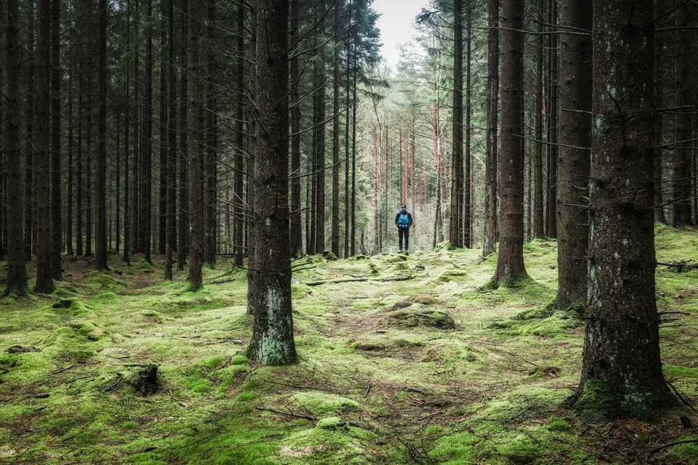 Sweden's Mountain Towns