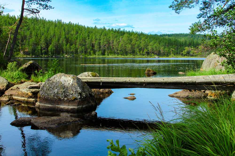 Träbro av stockar som korsar en stilla sjö omgiven av klippor, träd och frodig skog i Värmlands län, Sverige.