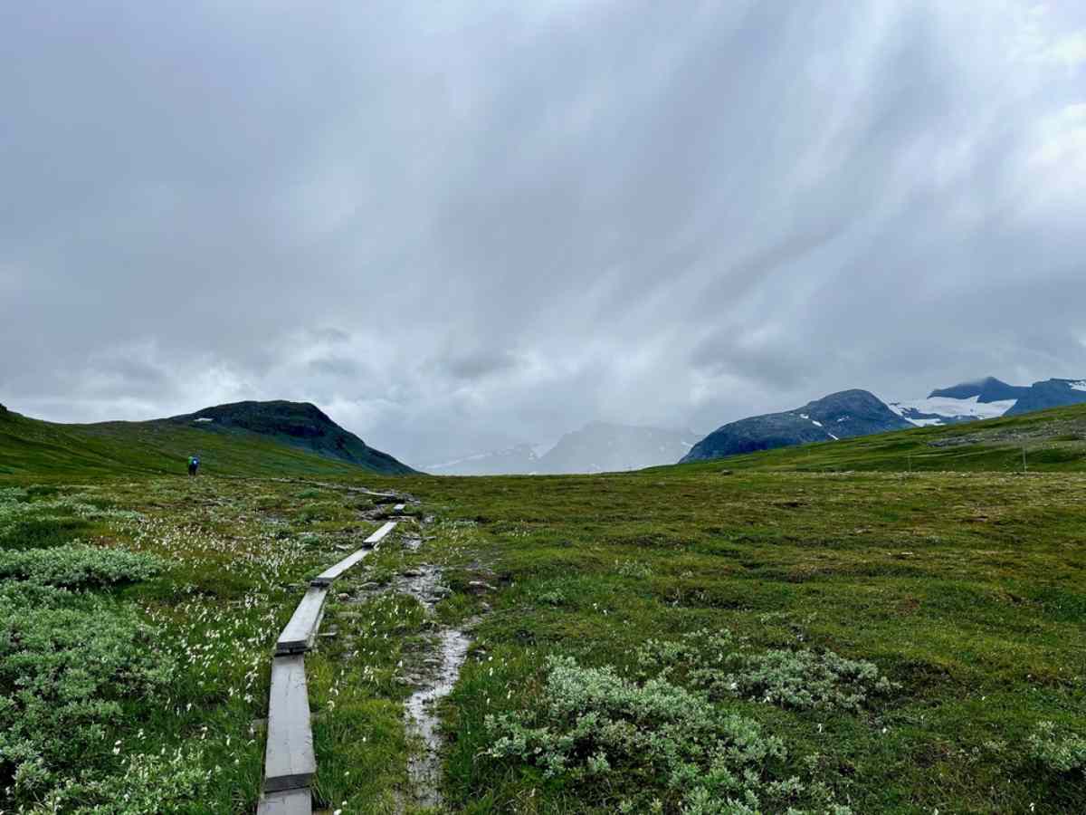 General view of a steep hill in a Swedish wilderness with what looks like a footpath on the ground.