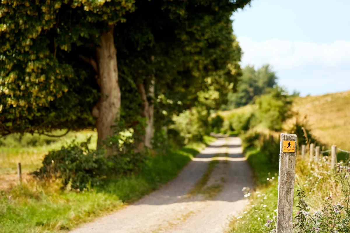 Detailplan des Eingangs zu einer Schotterpiste in einer schwedischen Wildnis mit einem Holzpfosten, der den Weg markiert.