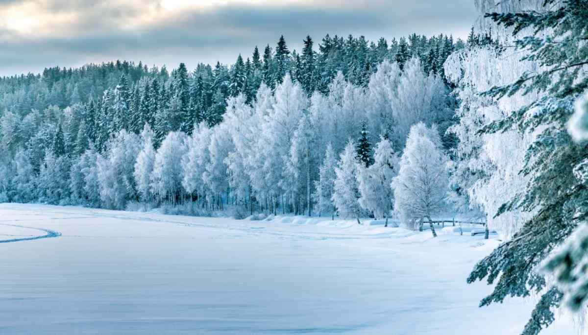 Umea Lapland
