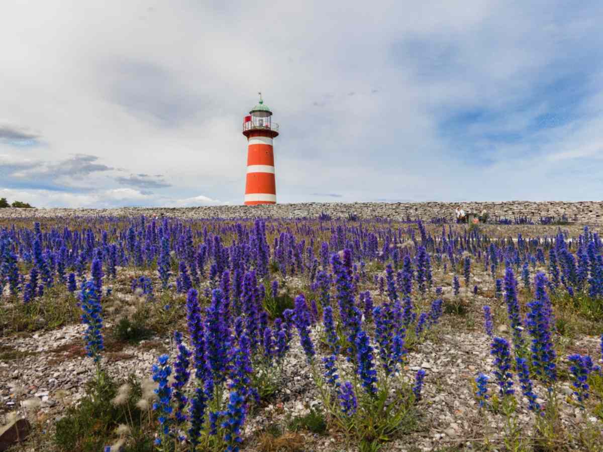 Gotland's Lighthouses