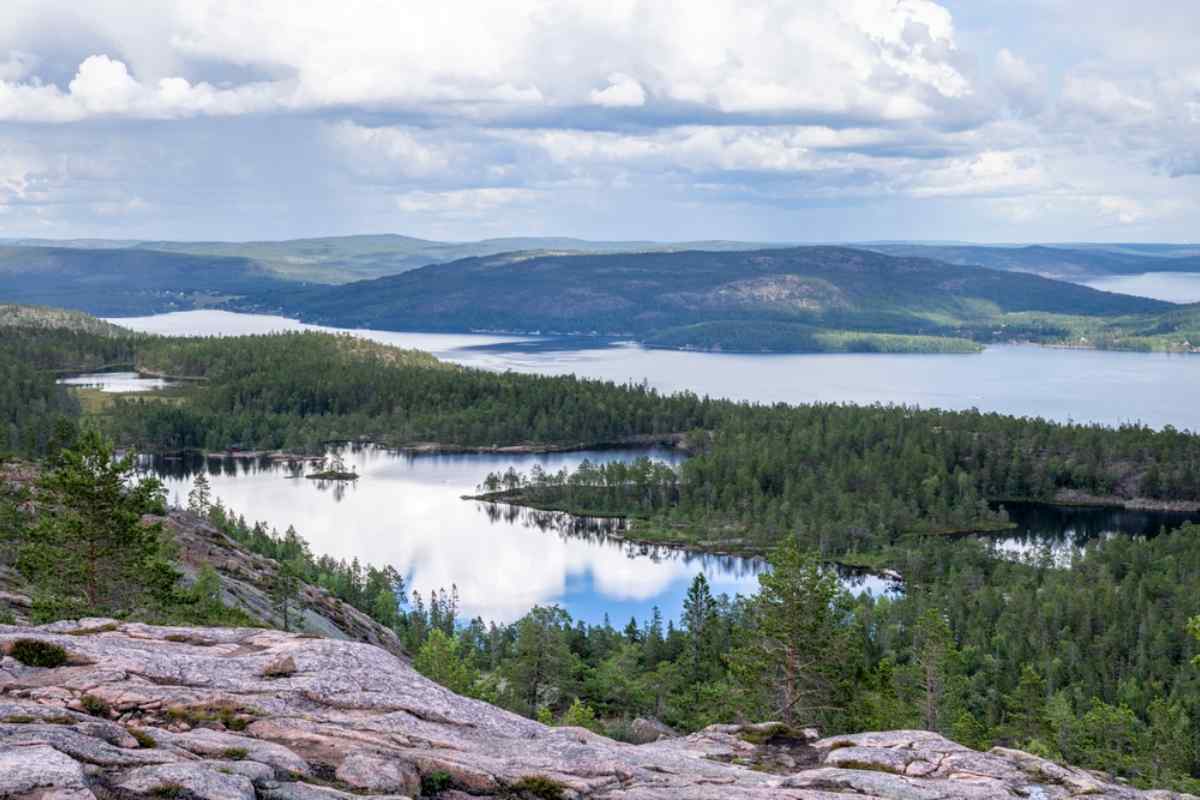 Vackert vykort från Skuleskogen nationalpark i Sverige på en solig dag med växtlighet i all sin prakt.
