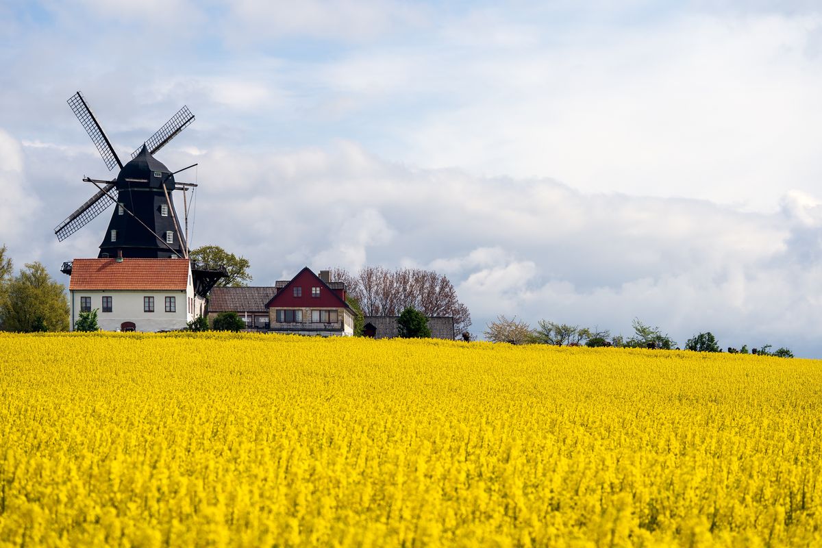 Visit Sk ne Discover Sweden s Southern Paradise