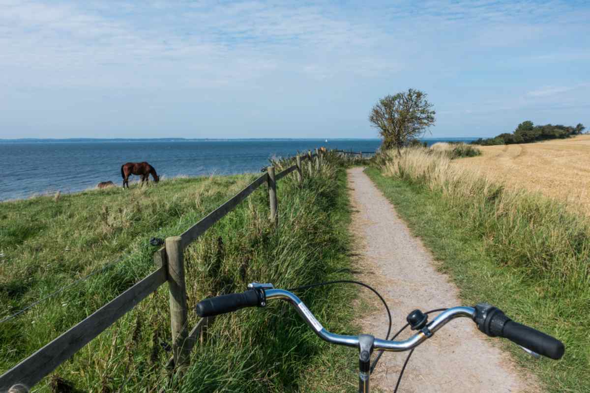 Utsikt från cykelstyre mot vackert grönt landskap nära havet i Skåne