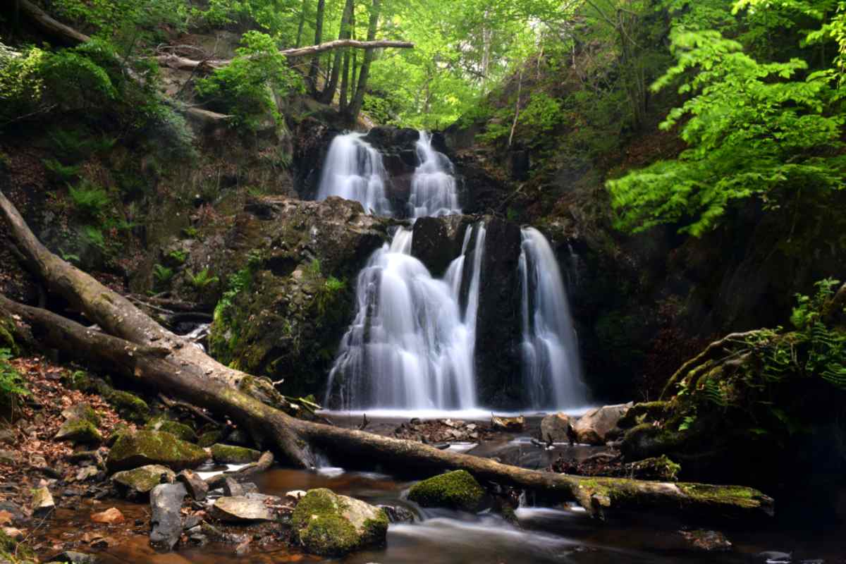 Flygfoto av en av Forsakars forsar omgiven av grönska i Skåne