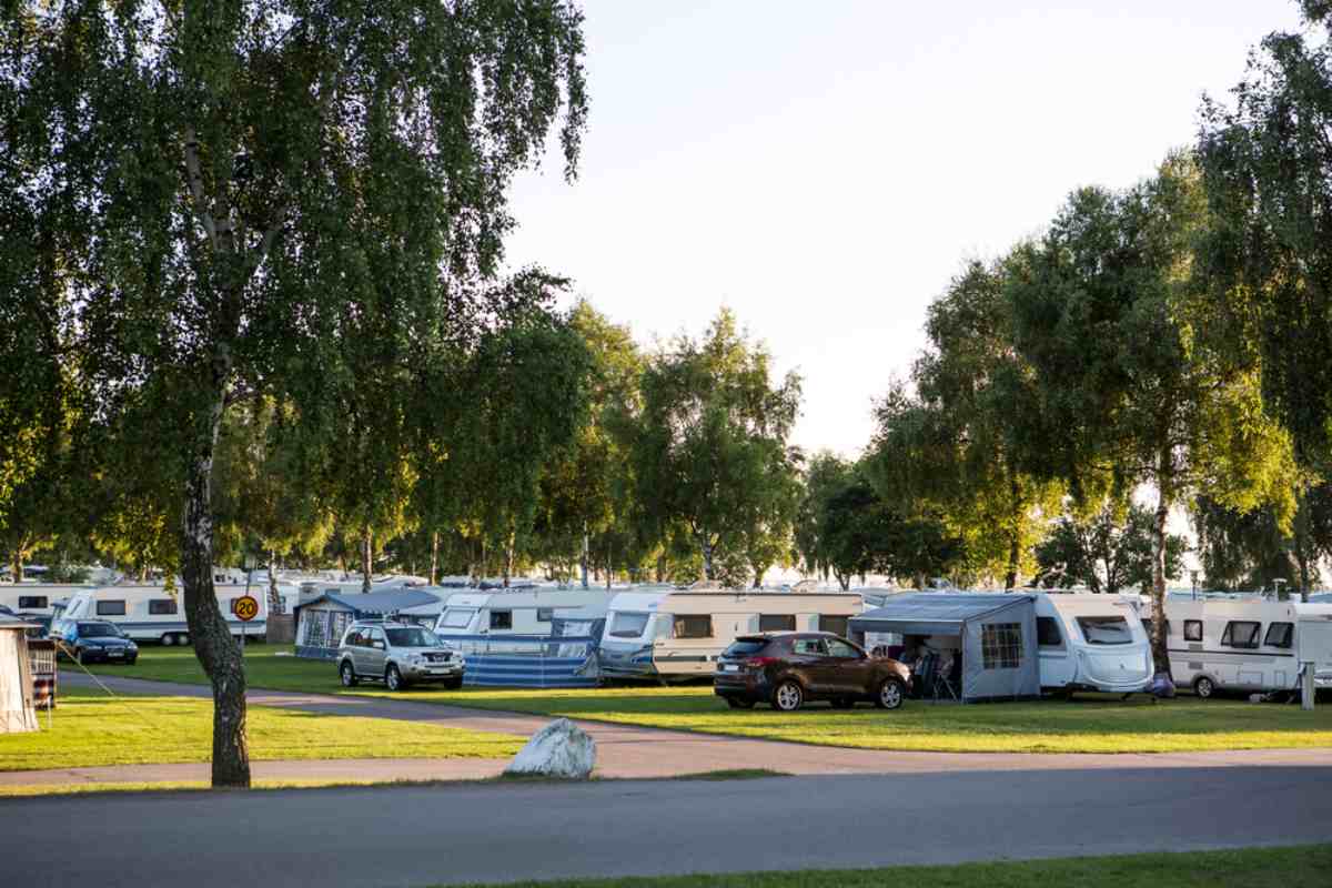 Family campground on Öland with caravans under birch trees at dusk.