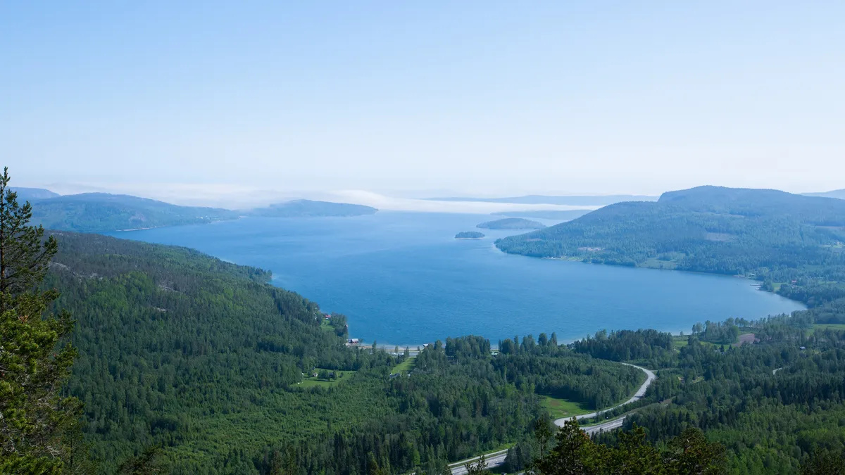 Panoramavy över Höga Kusten i Sverige med frodiga gröna skogar och blått vatten som sträcker sig mot horisonten.