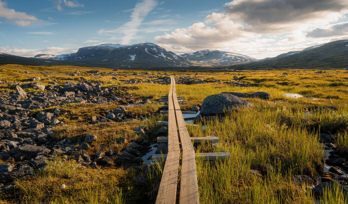Kungsleden: Kungsleden