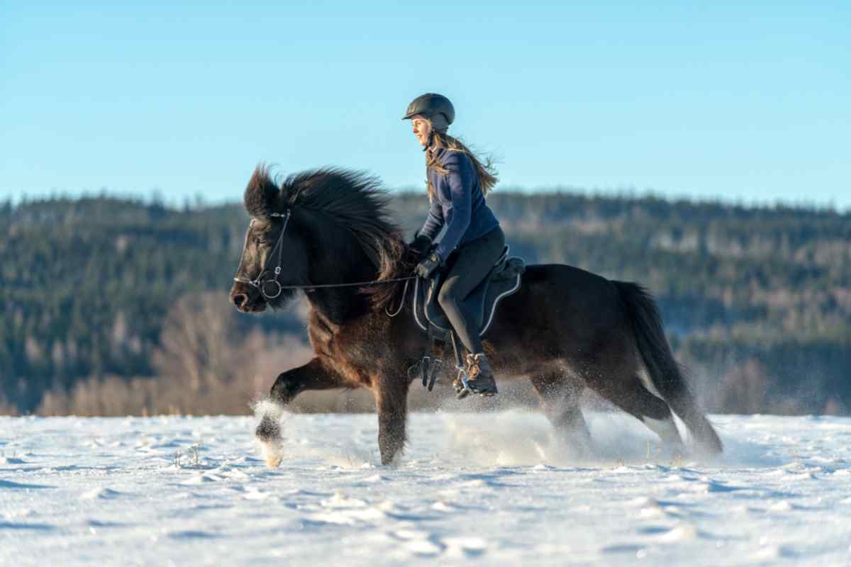 En blond kvinna med hjälm rider en mörkbrun häst i ett spektakulärt snötäckt svenskt landskap.
