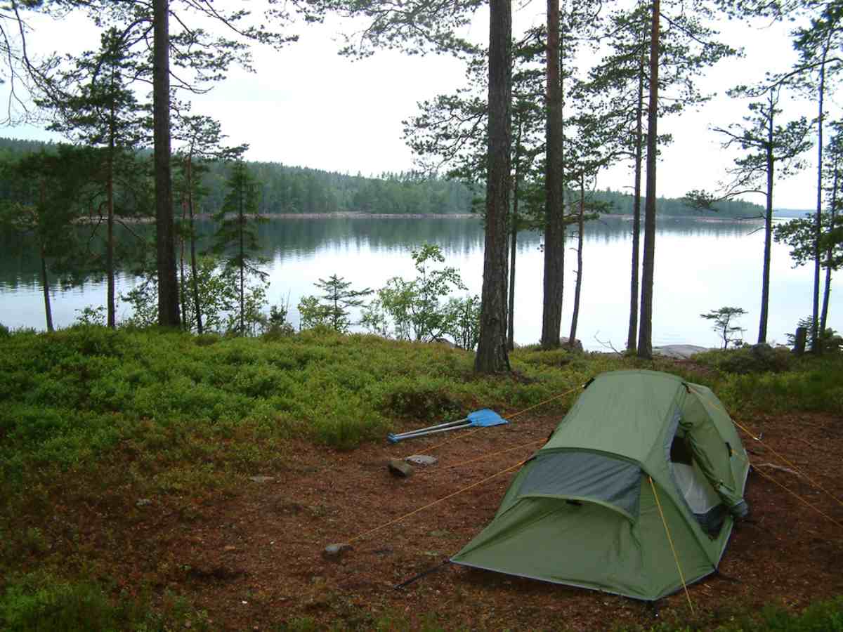 Tält uppställt i svensk skog bredvid en sjö.