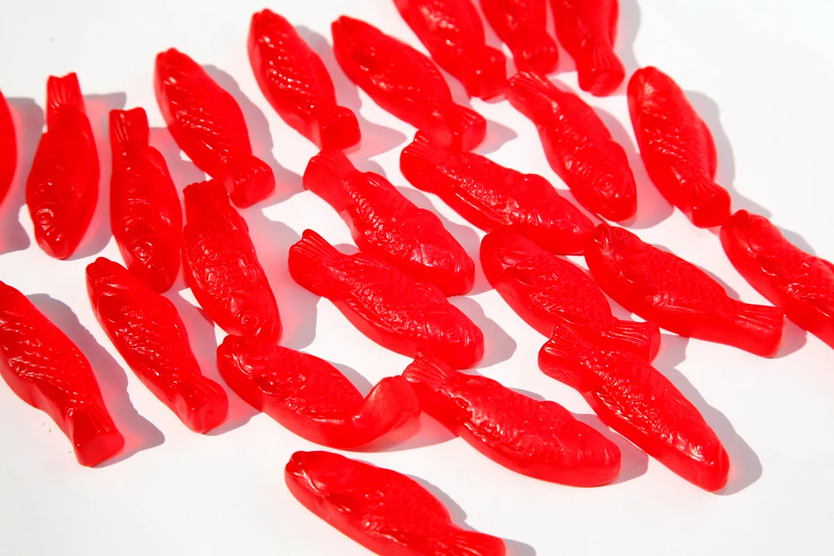 Schwedischer Fischgeschmack