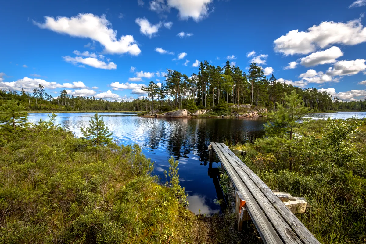 Glaskogens naturreservat