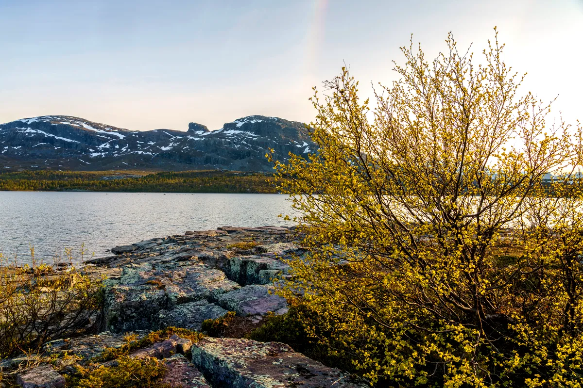 Stora Sjöfallet nationalpark 