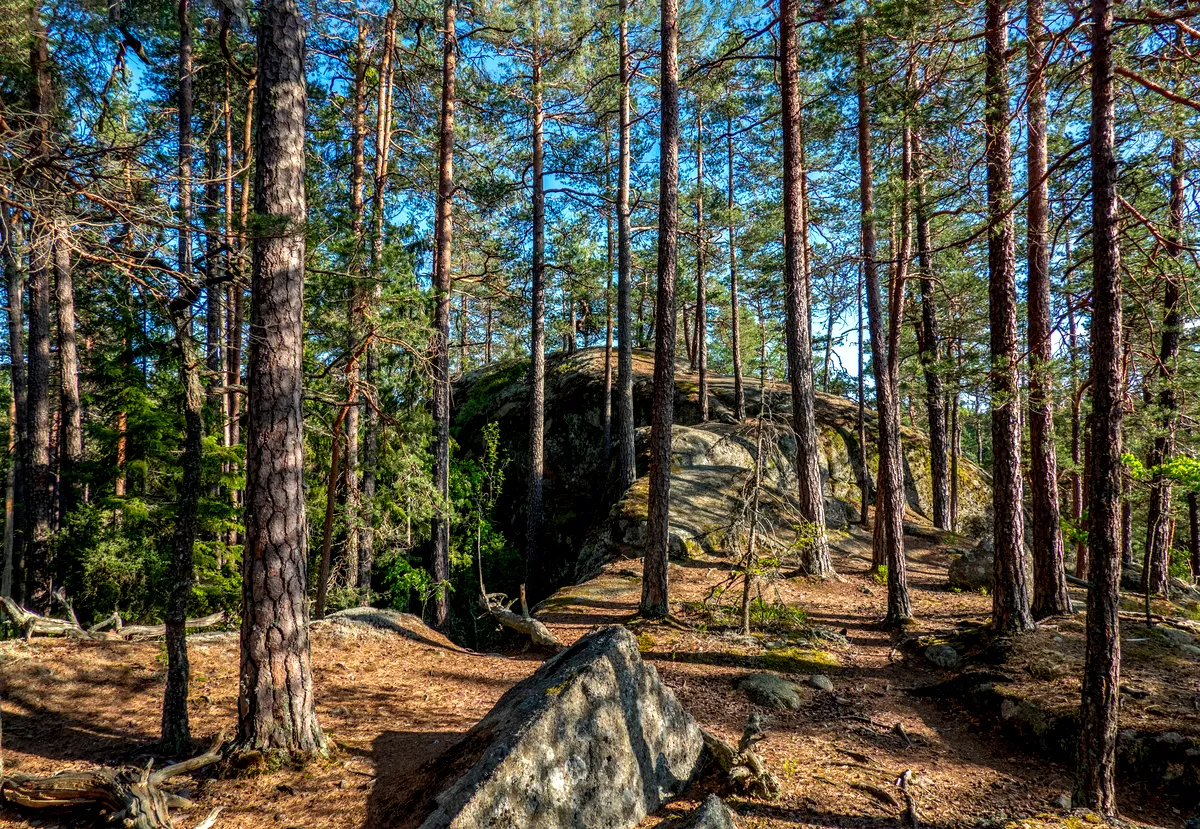 Tivedens nationalpark