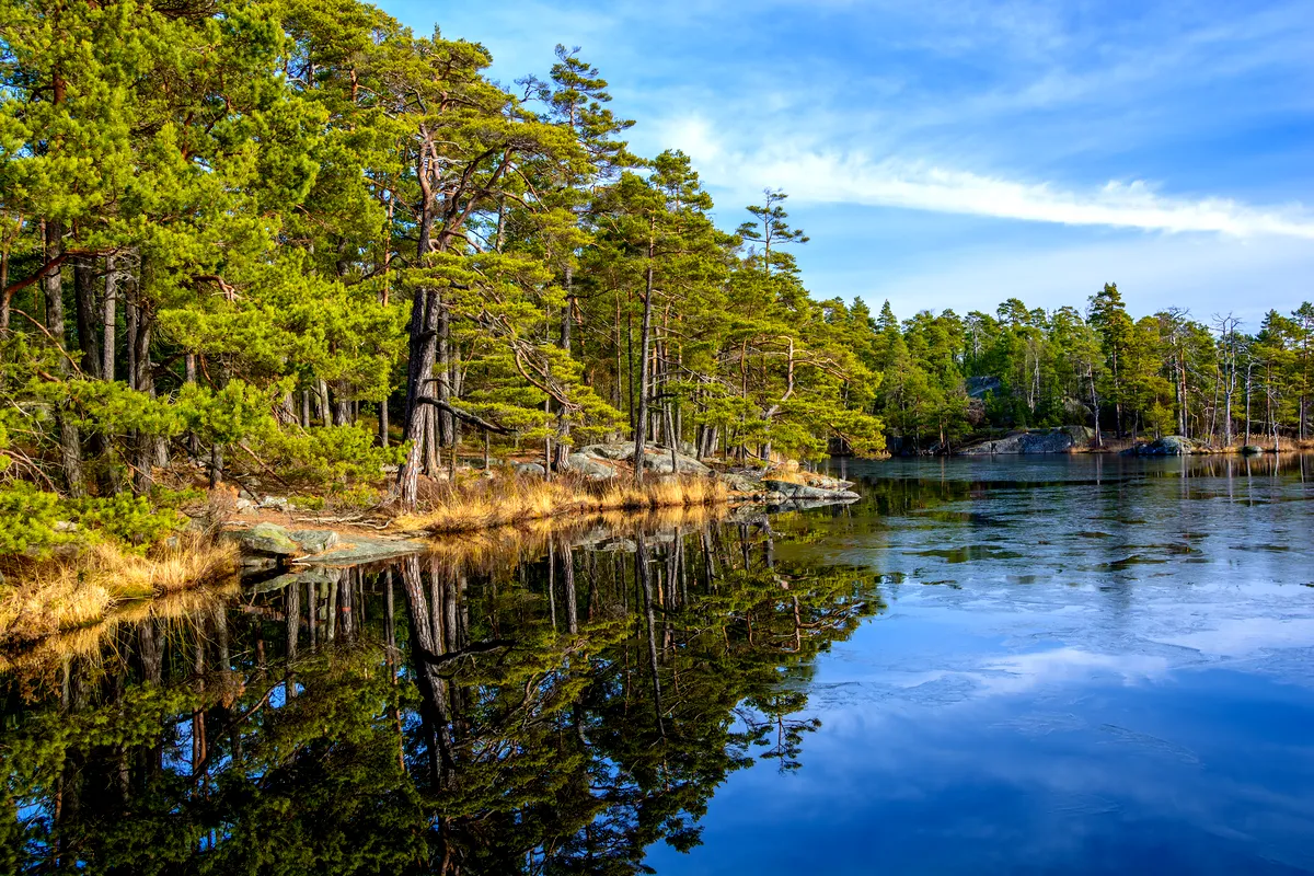 Tyresta National Park