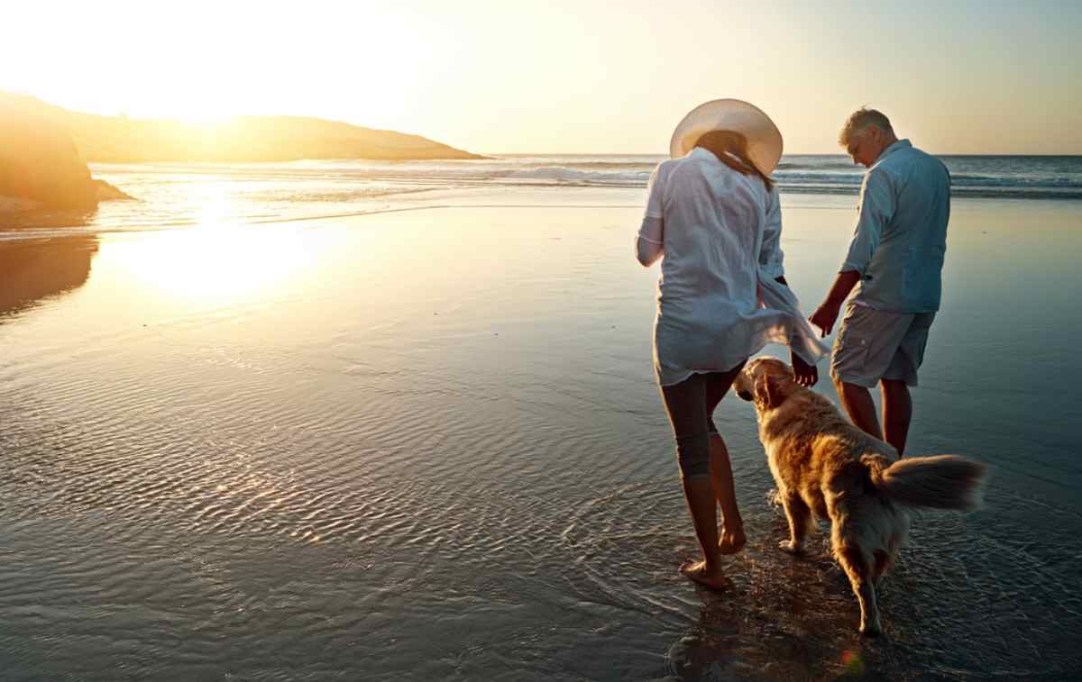 Familie mit einem Hund auf einer schwedischen Reise