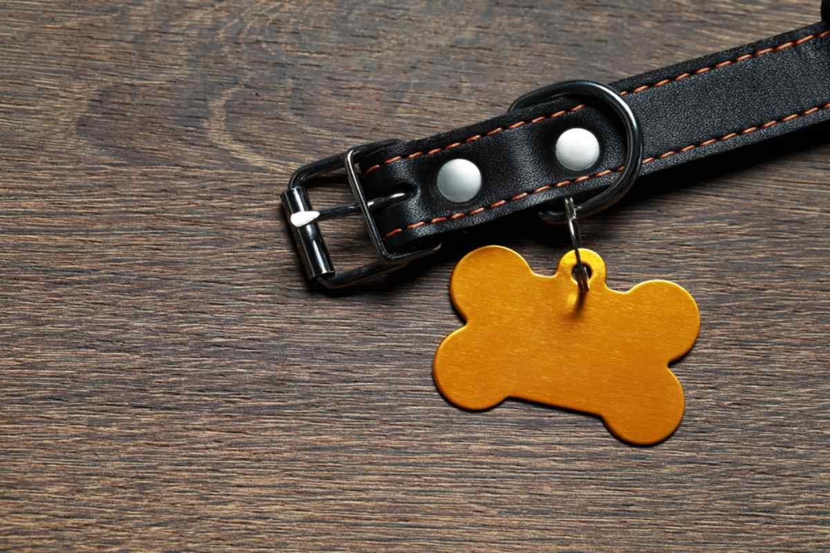 Hundehalsband für Haustiernamen