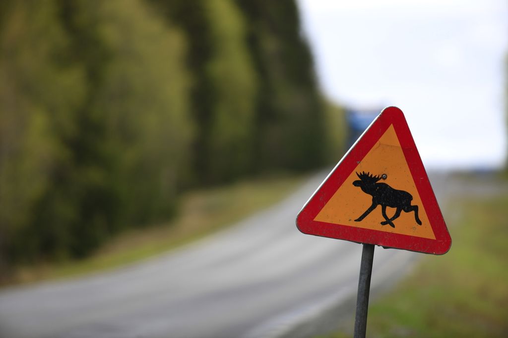 Road Sign in Sweden