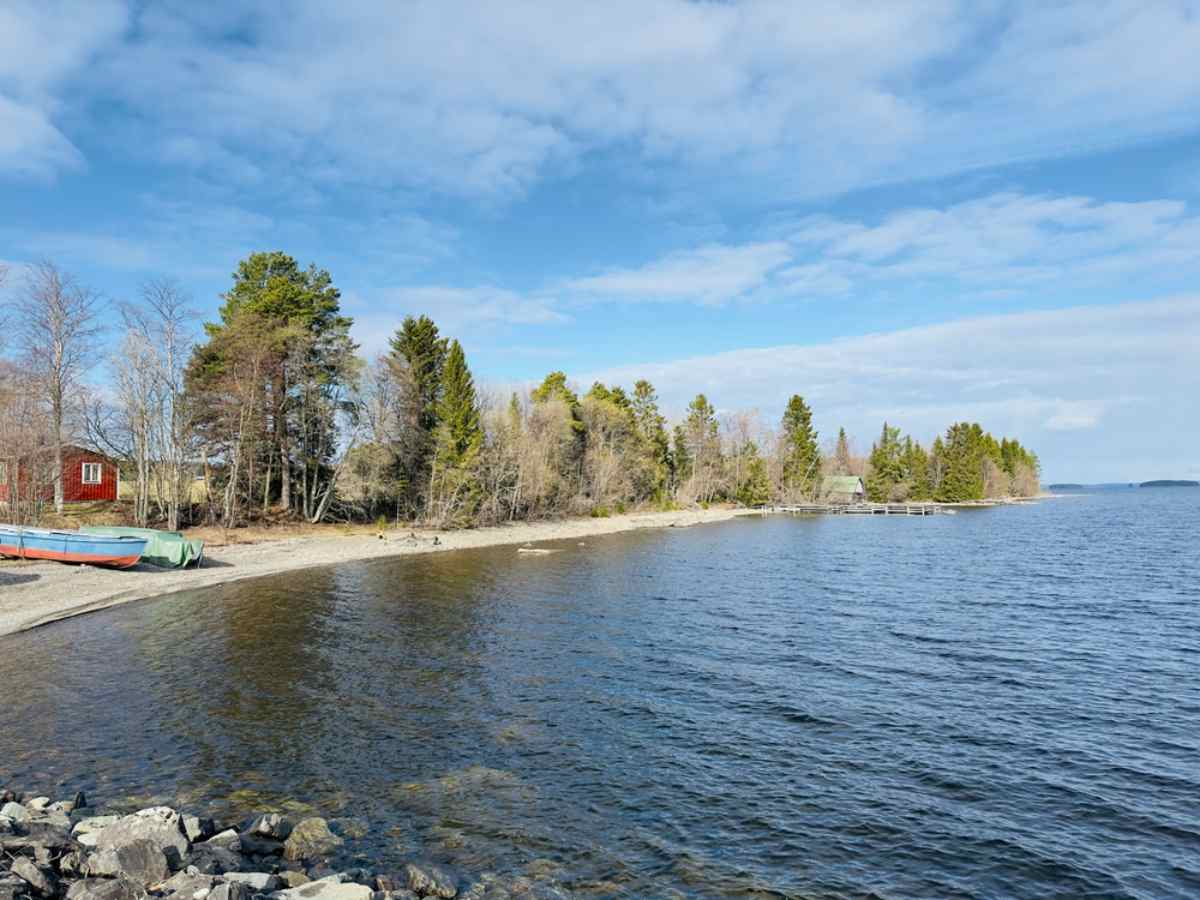 General view of what looks like a river with sandy beach located in northern Sweden with not very tall trees and a camping house in the background.