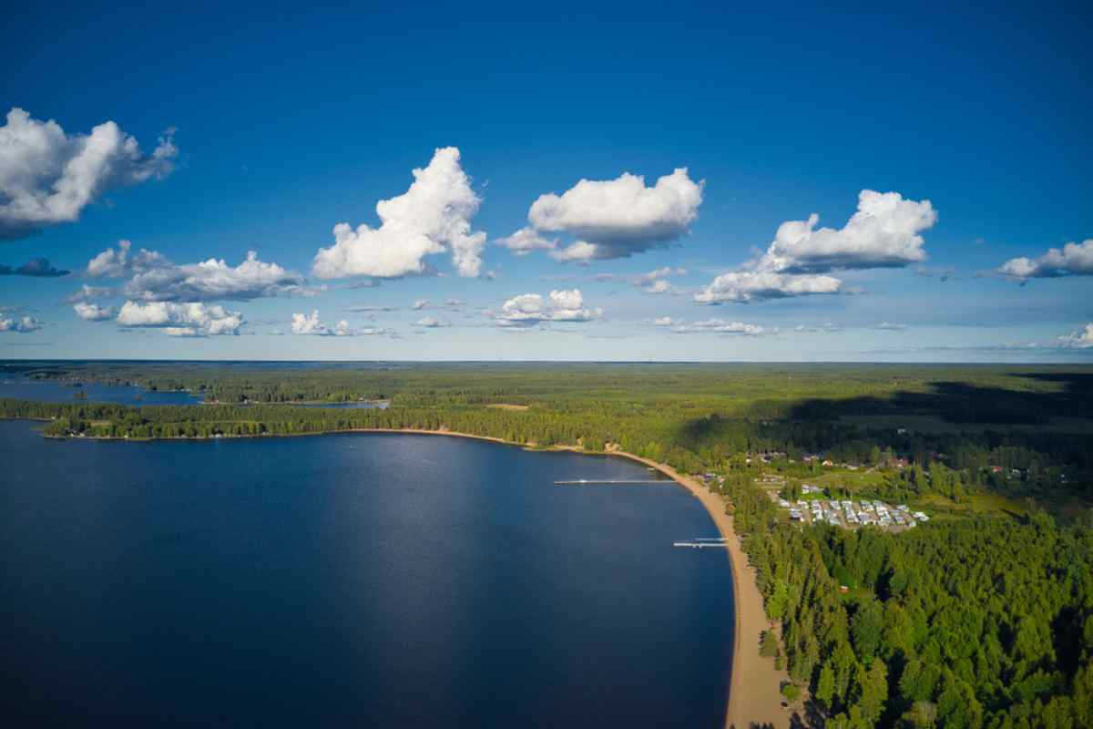 Aerial view of a large lake with sandy beach surrounded by a myriad of tall trees on a beautiful sunny day.
