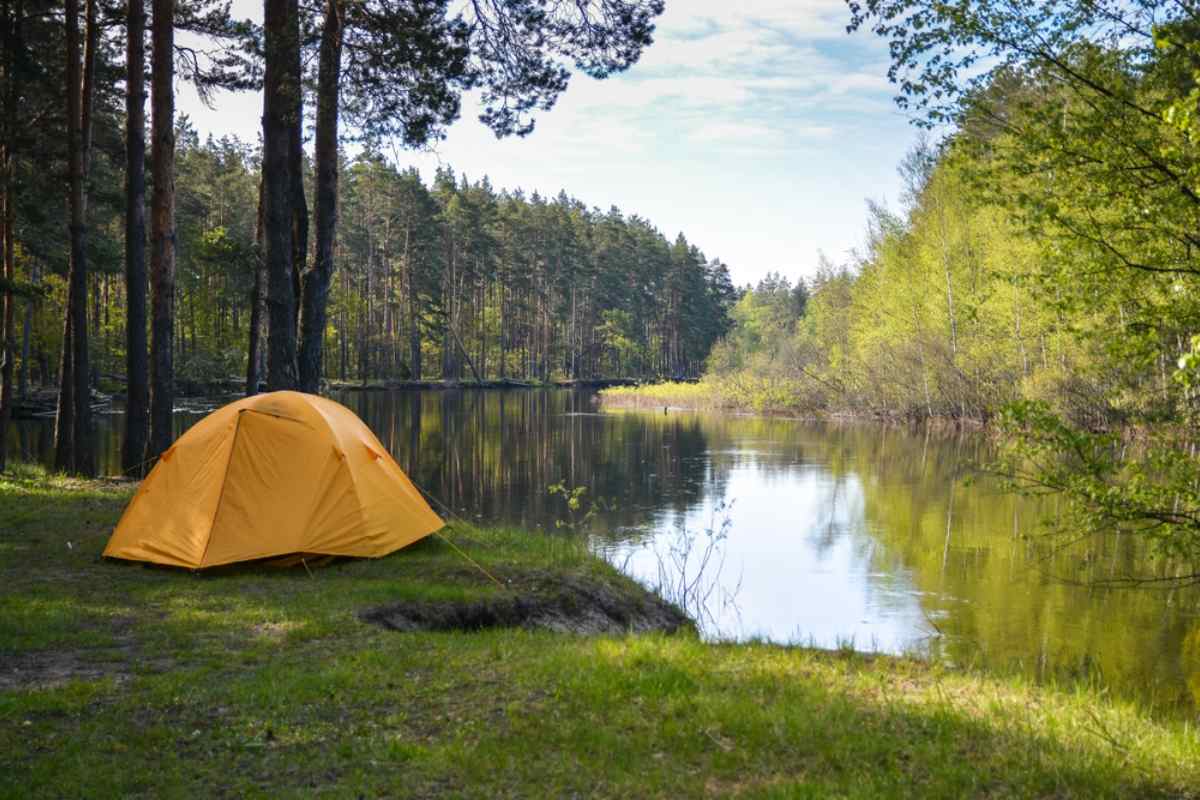 Ett tält står öppet vid stranden av en sjö i en helt grön och lugn svensk skog.