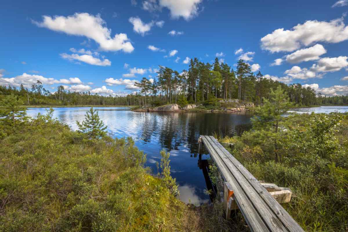 Übersicht über den See im Glaskogen-Naturreservat in Schweden mit einer bewaldeten Insel und teilweise klarem Himmel.