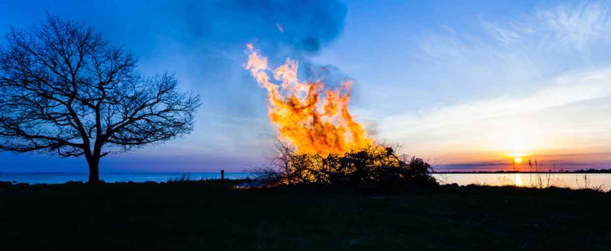 Allgemeine Ansicht eines Lagerfeuers bei Sonnenuntergang in einem schwedischen Wald im Rahmen eines Frühlingsfestes.